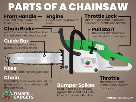Anatomy of a chainsaw